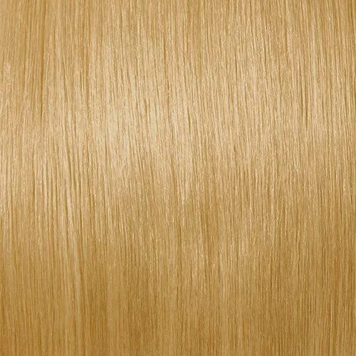 H1622 Irish Creme Ash Platinum