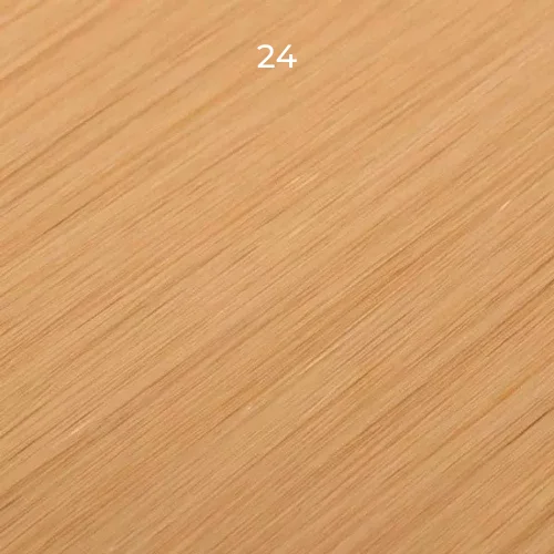 24