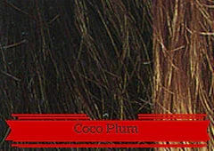 Coco Plum