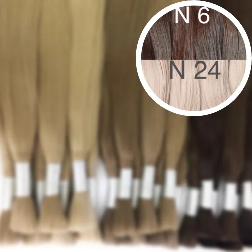 Raw Cut / Bulk Hair Color _6/24 GVA hair_One donor line