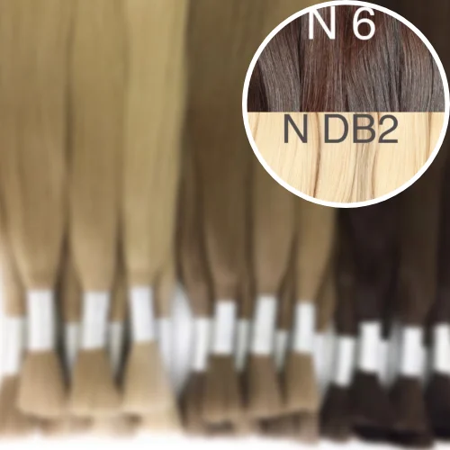 Raw Cut / Bulk Hair Color _6/DB2 GVA hair_One donor line