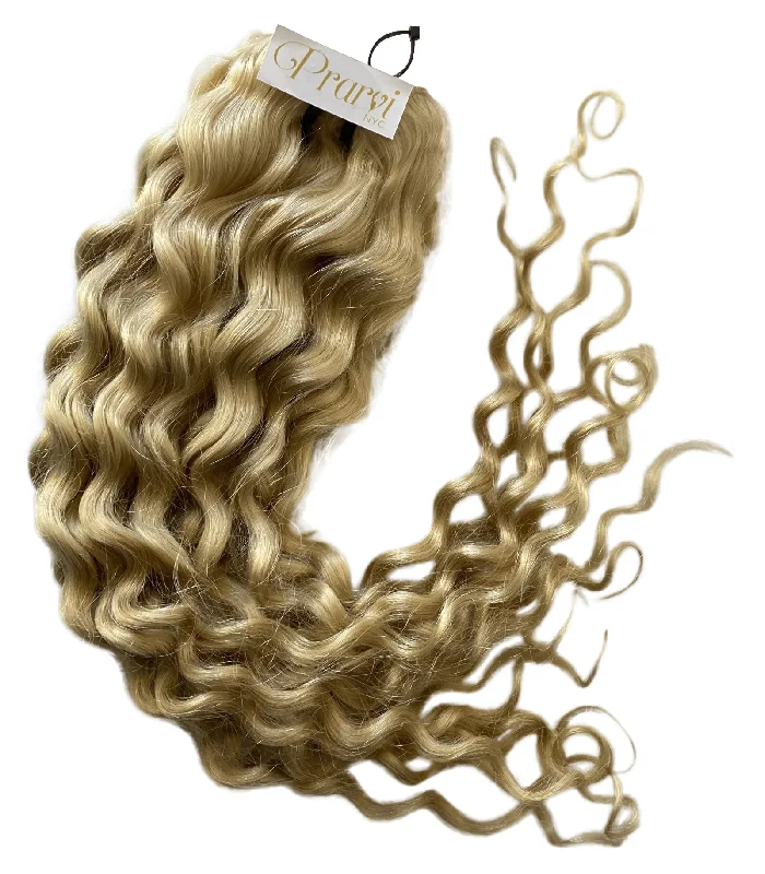 Jackson Blonde Collection: Platinum Blonde Raw Human Hair Extensions