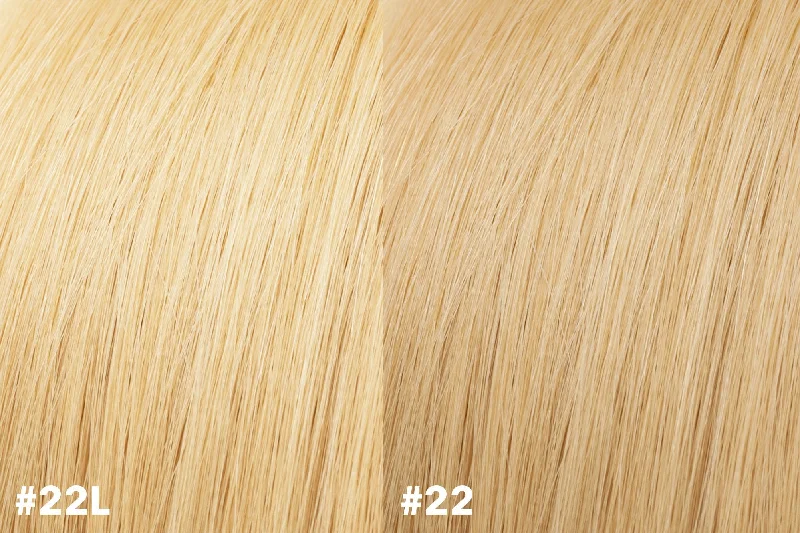 SAVE 20%  Clip-In Extensions #22L