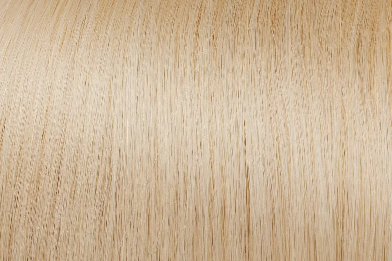 Clip In Extensions: Lightest Ash Blonde #60