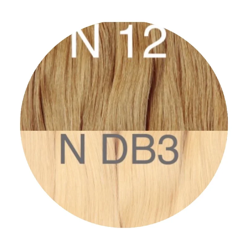 Hair Ponytail Color _12/DB3 GVA hair_One donor line