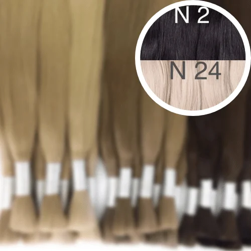 Raw Cut / Bulk Hair Color _2/24 GVA hair_One donor line