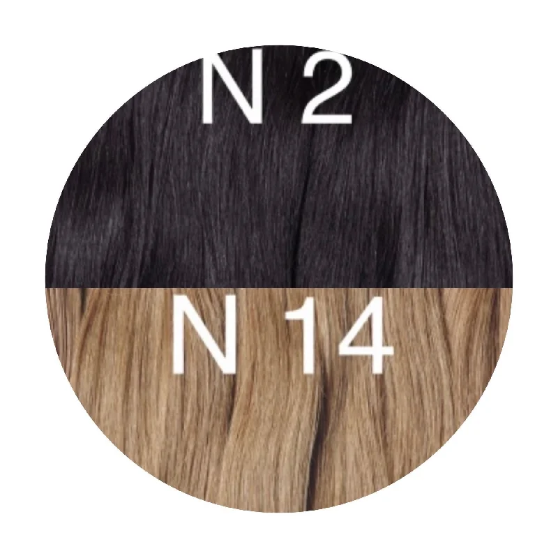 Hair Ponytail Color _2/14 GVA hair_One donor line