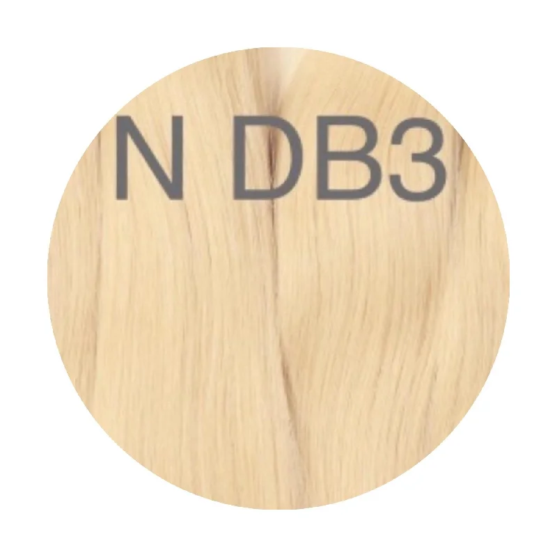 Hair Ponytail Color DB3 GVA hair_One donor line