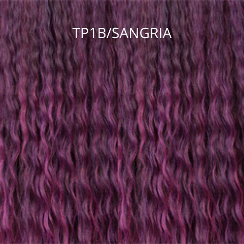 TP1B/SANGRIA