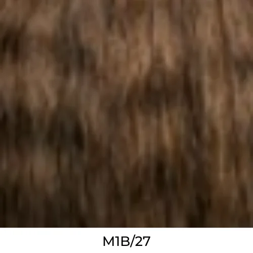 M1B/27