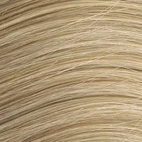 Quad Weft Clip in Set 230g, Honey Blonde