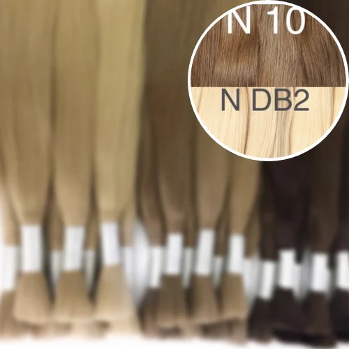 Raw Cut / Bulk Hair Color _10/DB2 GVA hair_One donor line