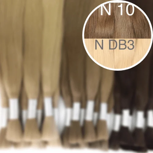 Raw Cut / Bulk Hair Color _10/DB3 GVA hair_One donor line