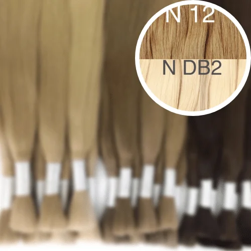 Raw Cut / Bulk Hair Color _12/DB2 GVA hair_One donor line