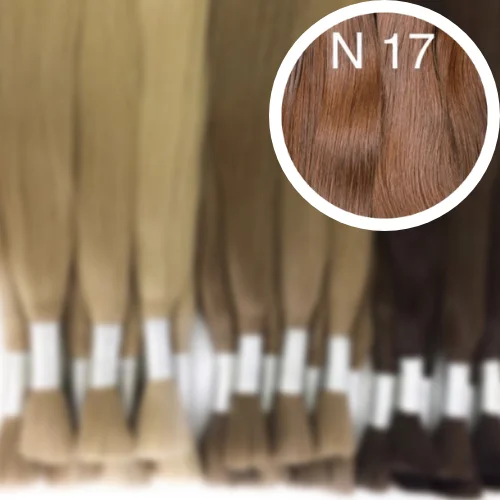 Raw Cut / Bulk Hair Color 17 GVA hair_One donor line