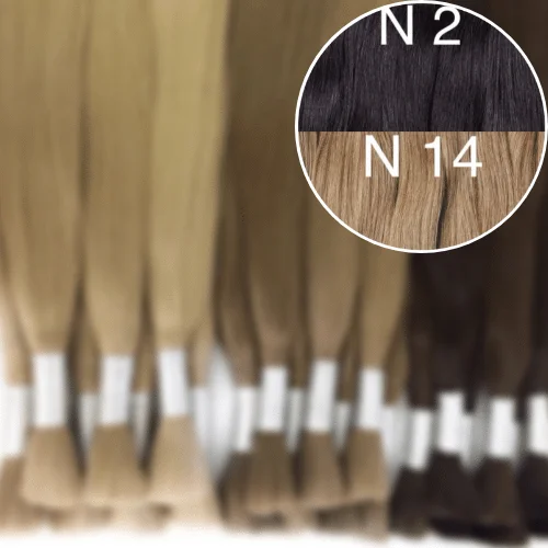 Raw Cut / Bulk Hair Color _2/14 GVA hair_One donor line