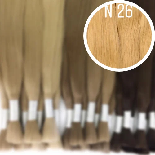 Raw Cut / Bulk Hair Color 26 GVA hair_One donor line