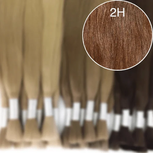 Raw Cut / Bulk Hair Color 2H GVA hair_Luxury line