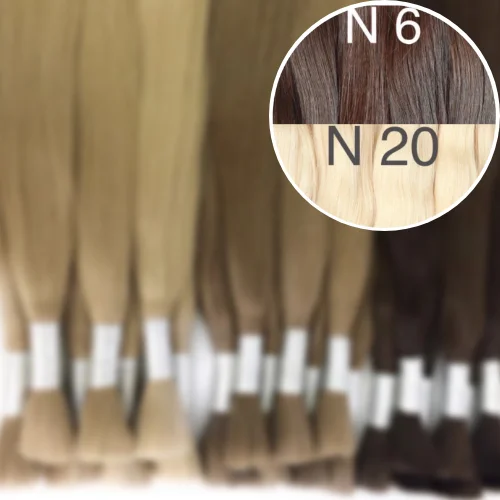 Raw Cut / Bulk Hair Color _6/20 GVA hair_One donor line