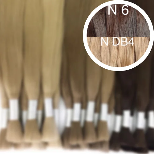 Raw Cut / Bulk Hair Color _6/DB4 GVA hair_One donor line