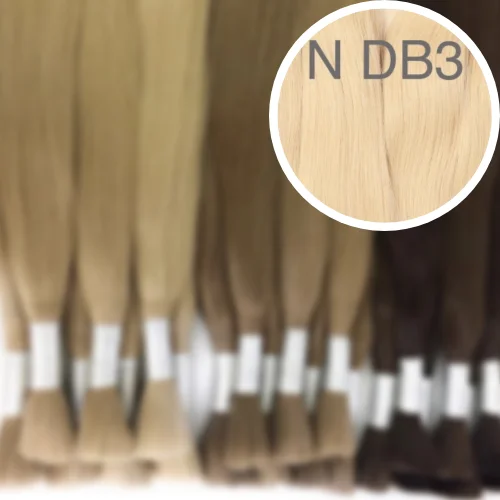 Raw Cut / Bulk Hair Color DB3 GVA hair_One donor line