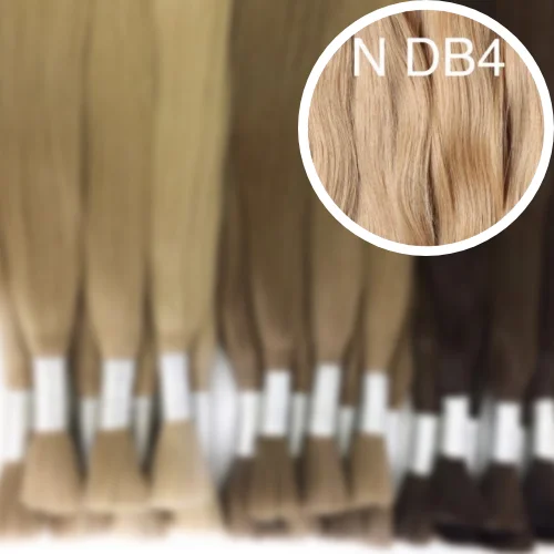 Raw Cut / Bulk Hair Color DB4 GVA hair_One donor line